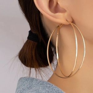 Double Hoop Earrings (NWOT)